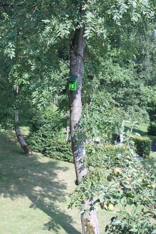 B&B Villa Roma Durbuy Buitenkant foto